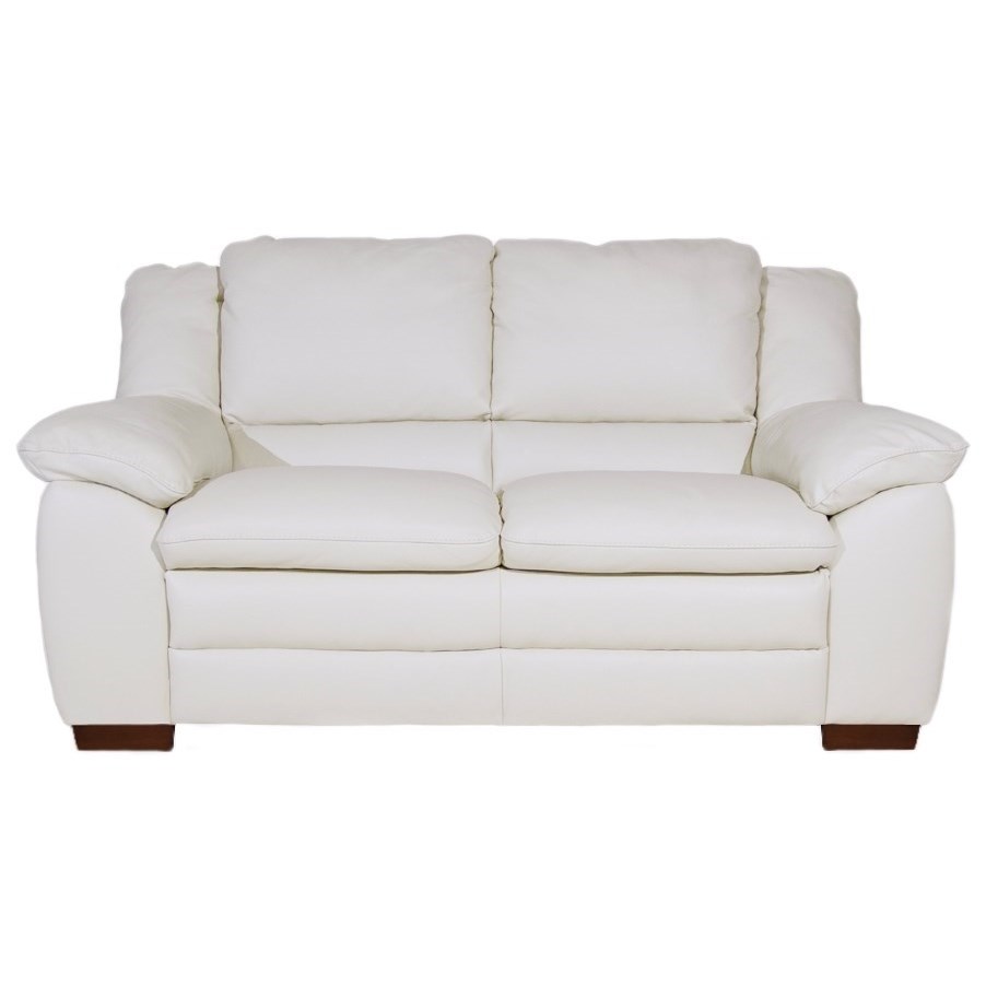 Natuzzi protecta 2025 leather colors